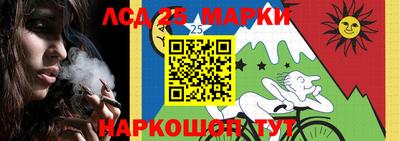 гидра Кандалакша