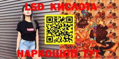 ECSTASY Камышлов