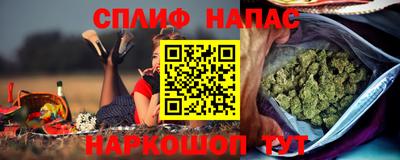 ECSTASY Камышлов