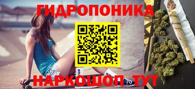 гидра Кандалакша
