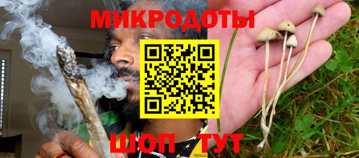 Псилоцибиновые грибы Psilocybe  Красноперекопск 