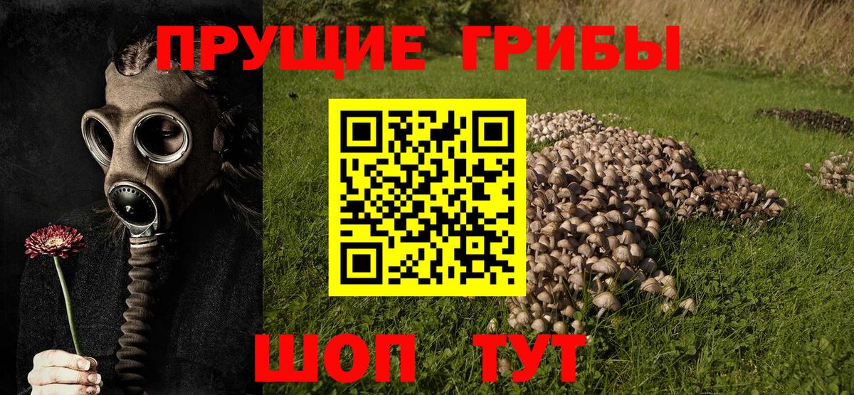 Псилоцибиновые грибы мухоморы  Вход с VPN  Красноперекопск  Галлюциногенные грибы MAGIC MUSHROOMS 