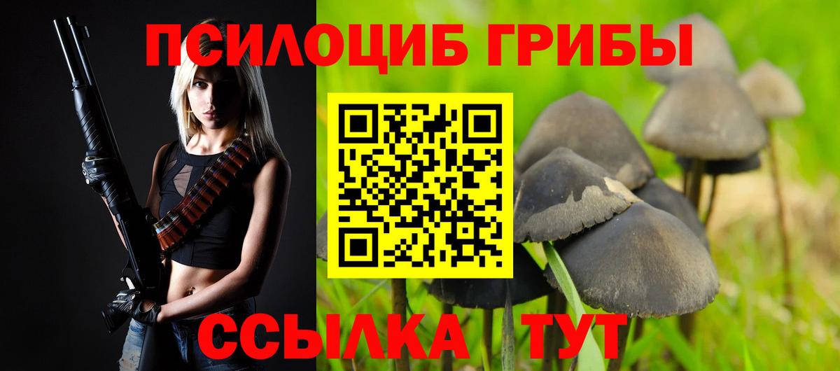 Псилоцибиновые грибы прущие грибы Красноперекопск